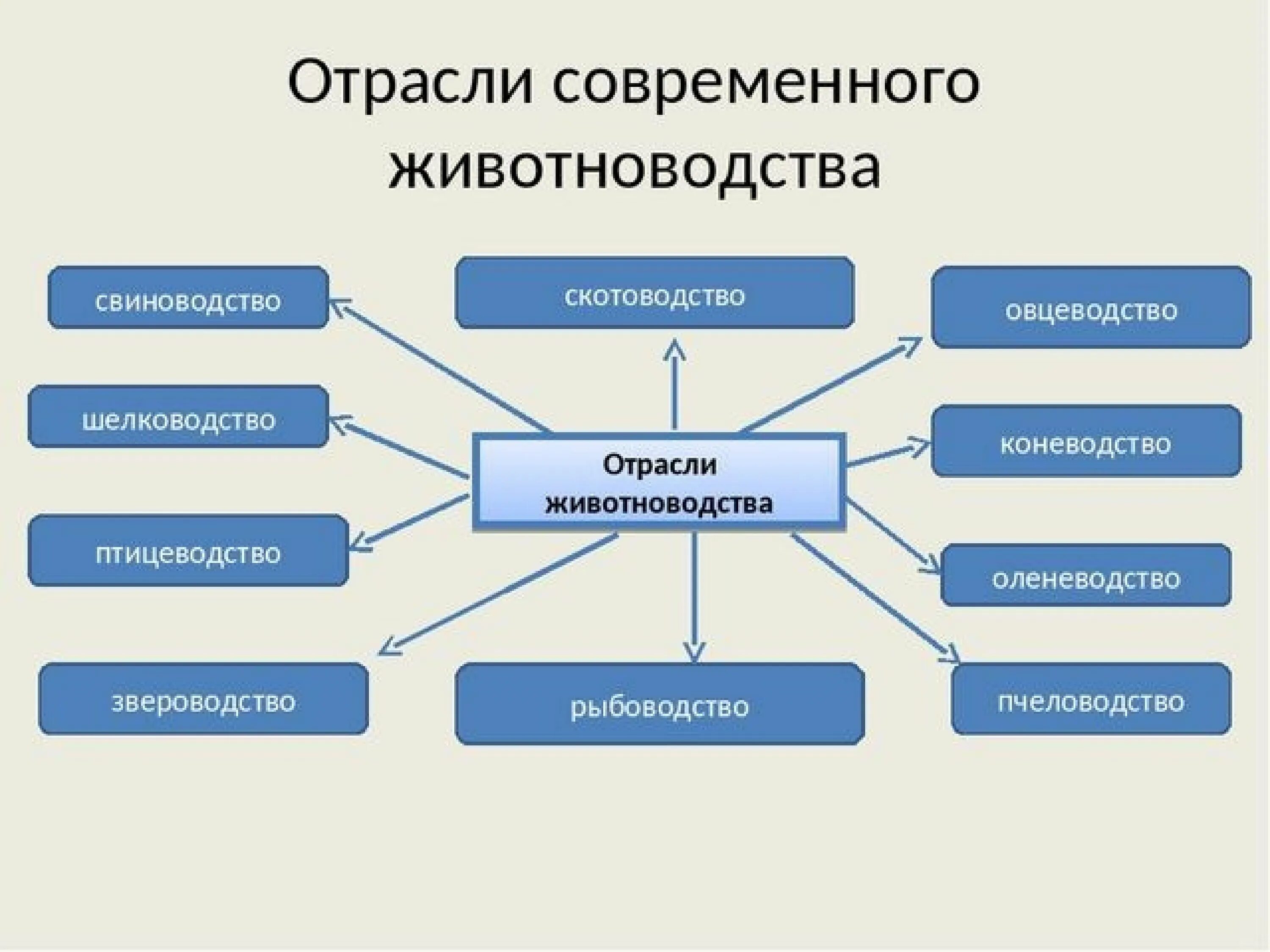 Схема отрасли животноводства 9 класс. Животноводство схема 4 класс. Отрасли животноводства в России. Животноводство структура отрасли. Отрасль на современном этапе