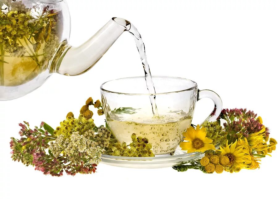 Травяной чай Хербал. Чай из лекарственных трав. Отвары из растений. Чай травяной сбор.