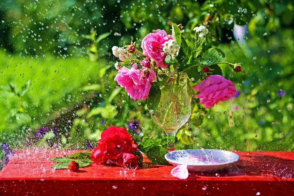 Цветы под дождем. Дождь в саду. Дождь в цветочном саду.