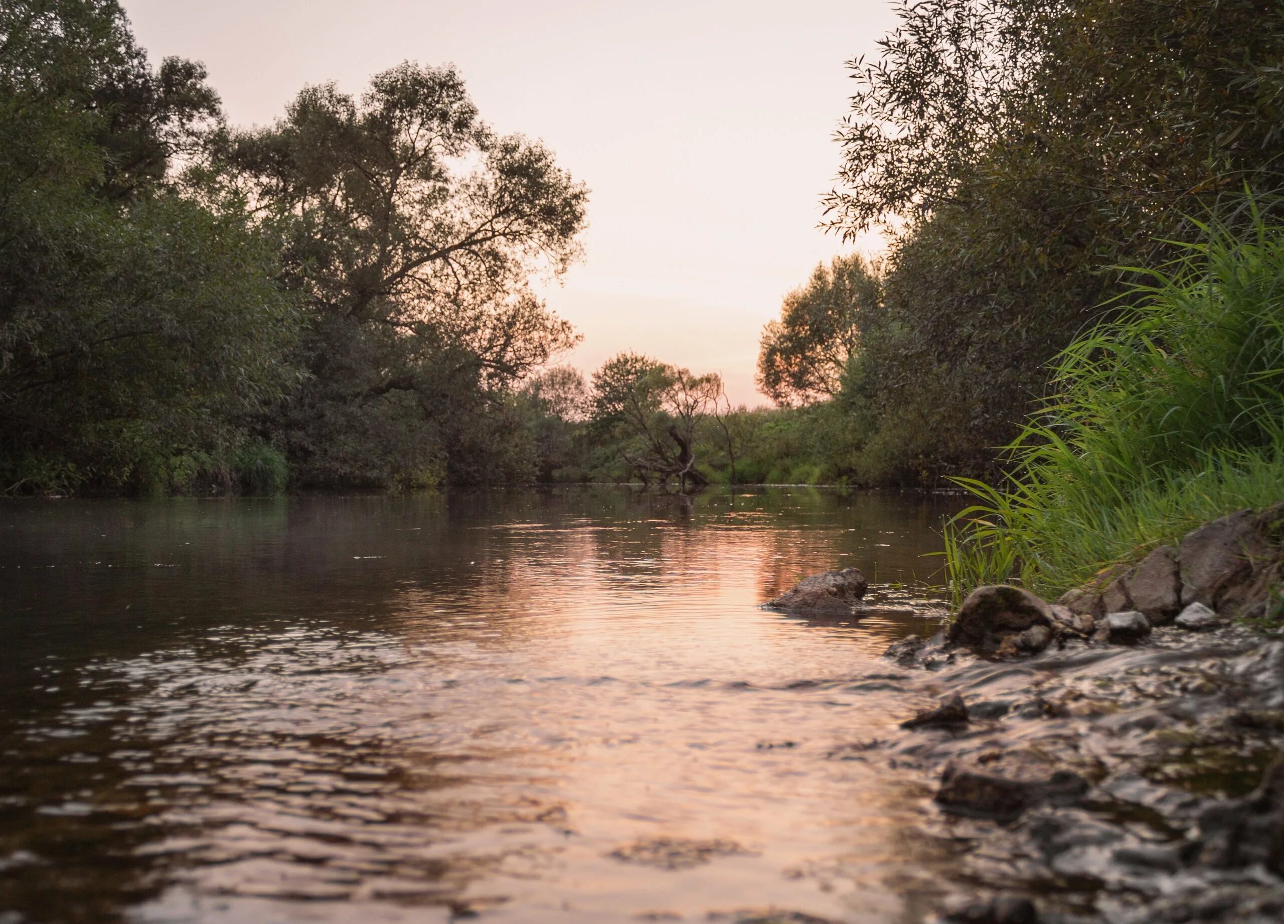 Река карижа малоярославец. Река лужа в малоярославце. Шмея река калужская область. Река лужицы. Река лужа калужская область.