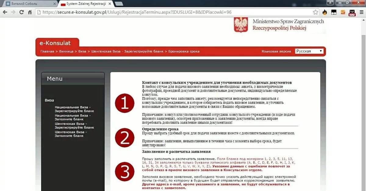 Https gov pl. Посольство Польши визы. Запись в консульство Польши. Консулат. Как проверить очередь на визу посольство Польши.