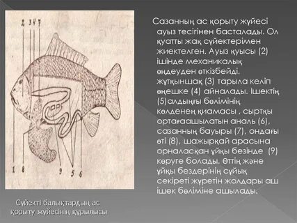 Порно Ижевск, Таня