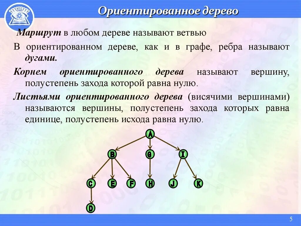 Диаметр дерева это количество ребер в максимальной. Графы деревья. Ветви бинарного дерева. Корневое бинарное дерево. Неориентированное дерево.