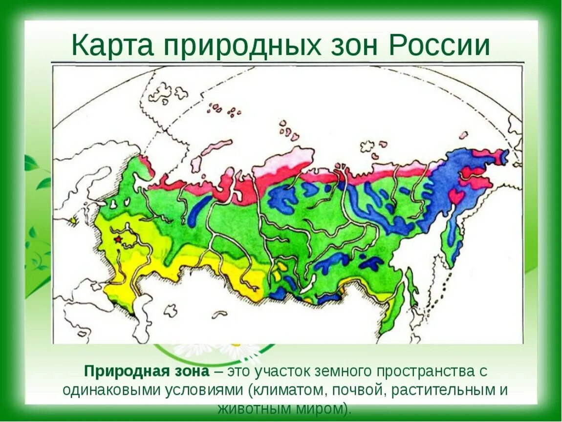Самая разнообразная природная зона. Природные зоны России карта 4кл. Карта климатических зон России тундра Тайга. Природная зона Арктическая тундра на карте. Тундра на карте России природных зон 4 класс.