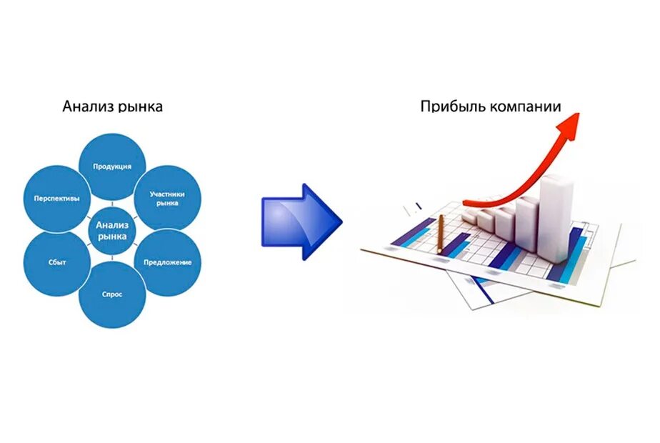 Анализ рынка vectorma