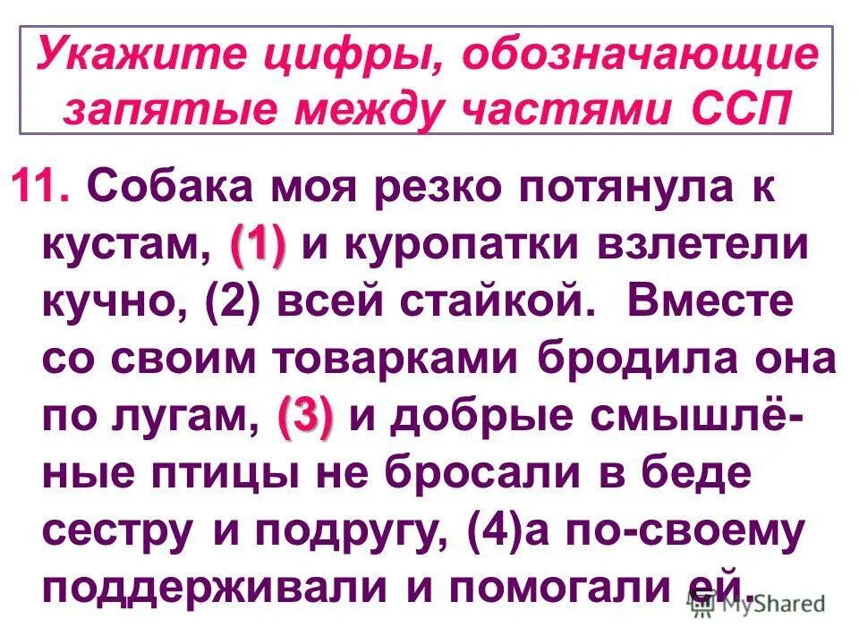 Значки препинания в сложносочинненом прделожении. Обозначающие запятые между частями сложносочиненного предложения. Знаки препинания в сложном предложении 8 класс правило. Запчьые всложносочиненное предложение. Точка с запятой в сложносочиненном предложении.
