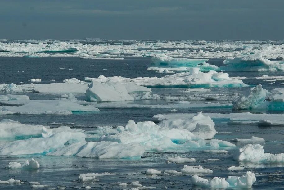 2 северный ледовитый океан. Акватория Северного Ледовитого океана. Льды Северного Ледовитого океана. Северный Ледовитый океан Канада.
