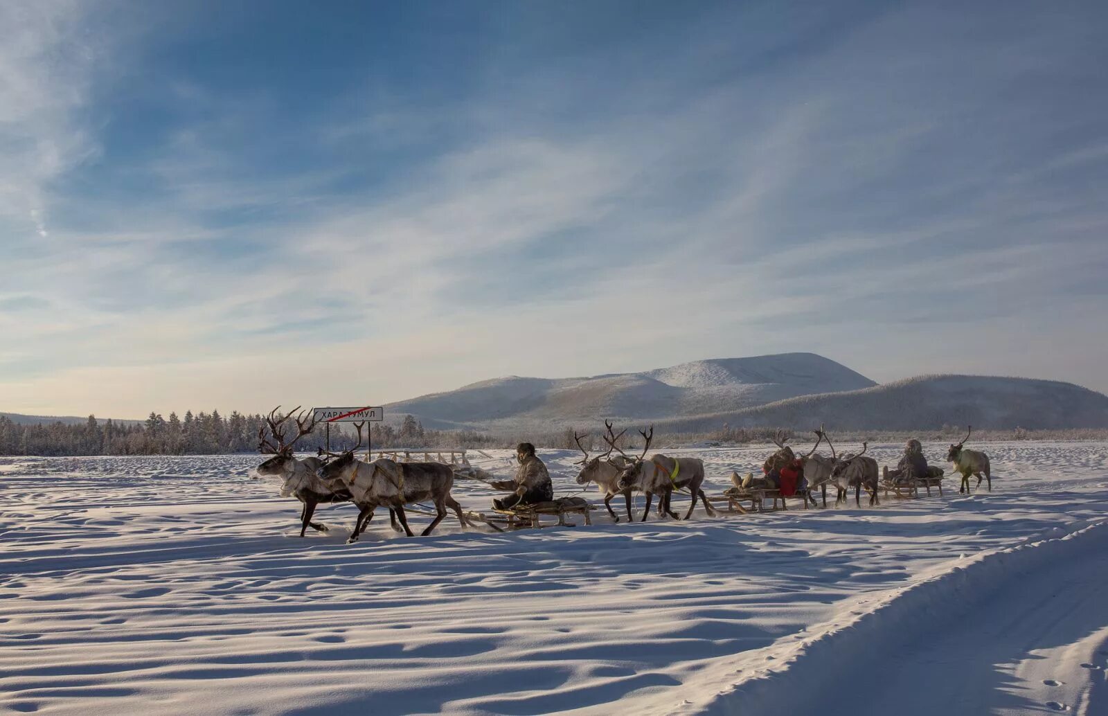 Канинские ненцы. Писатели о тундре. Тундра ненцы янао. Ямал тундра ненцы. Ямало-ненецкий автономный округ северное сияние.