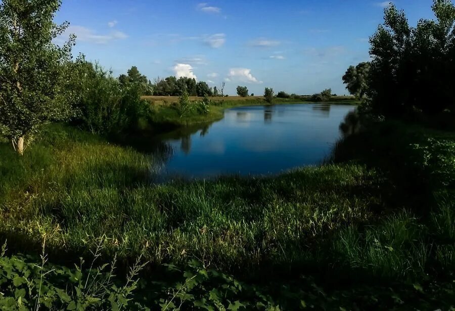 Погода садовое астраханской. Село садовое Астраханская область. Астраханская область Ахтубинский р-н с садовое. Село садовое Ахтубинский район биостанция АГТУ. Земельный участок фото.