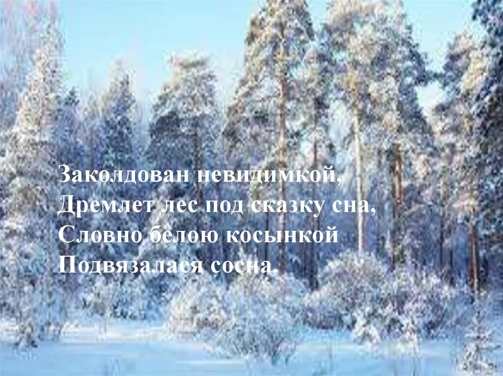 Стихотворение есенина пороша 6 класс. Заколдован НЕВИДИМКОЙ дремлет лес под сказку. Дремлет лес. Дремлет лес под сказку. Заколдован НЕВИДИМКОЙ лес под сказку сна словно белою косынкой сосна.