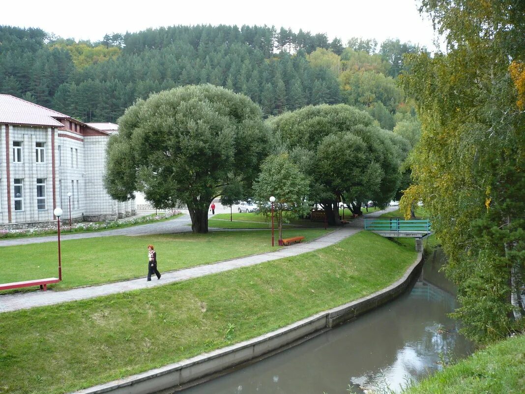 форум белокурихи