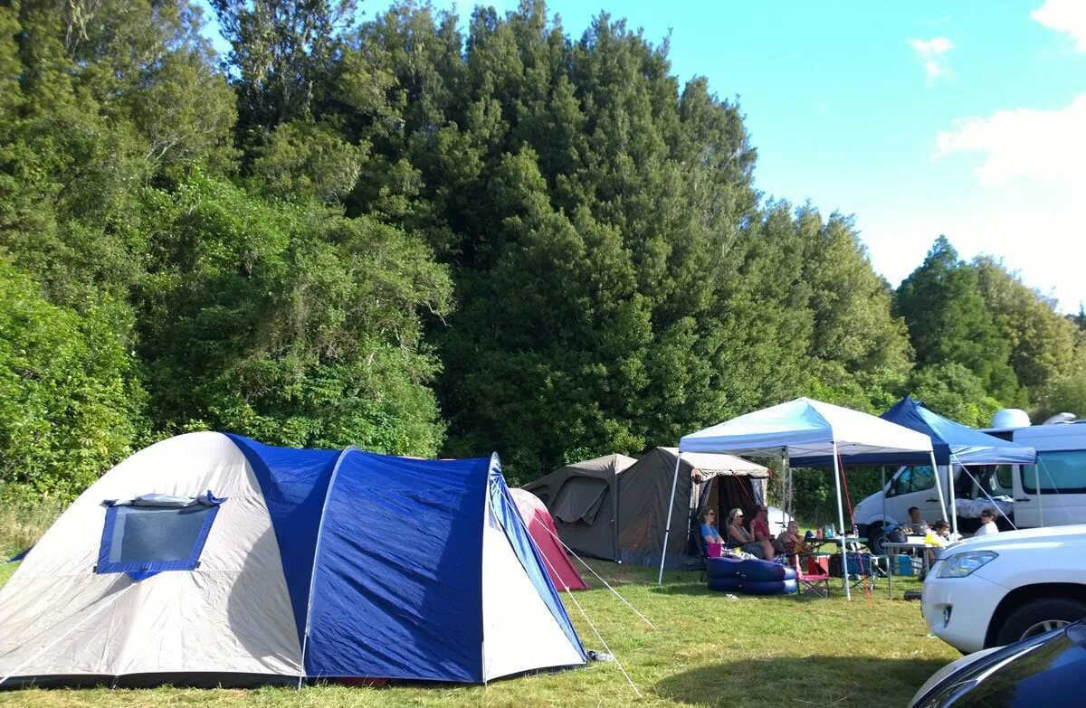 Russian camping. Кемпинг пикник. Белая Русь кемпинг. Красновидово с палатками. Кемпинг по русски.