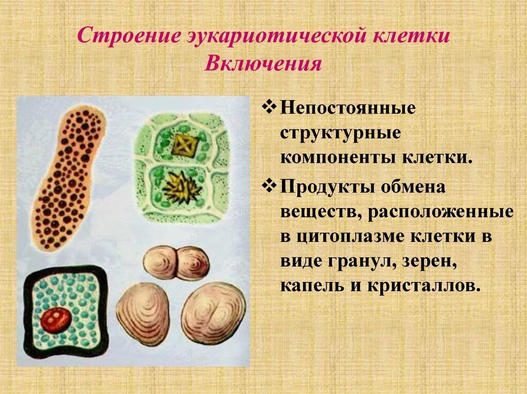 Дайте определение включений