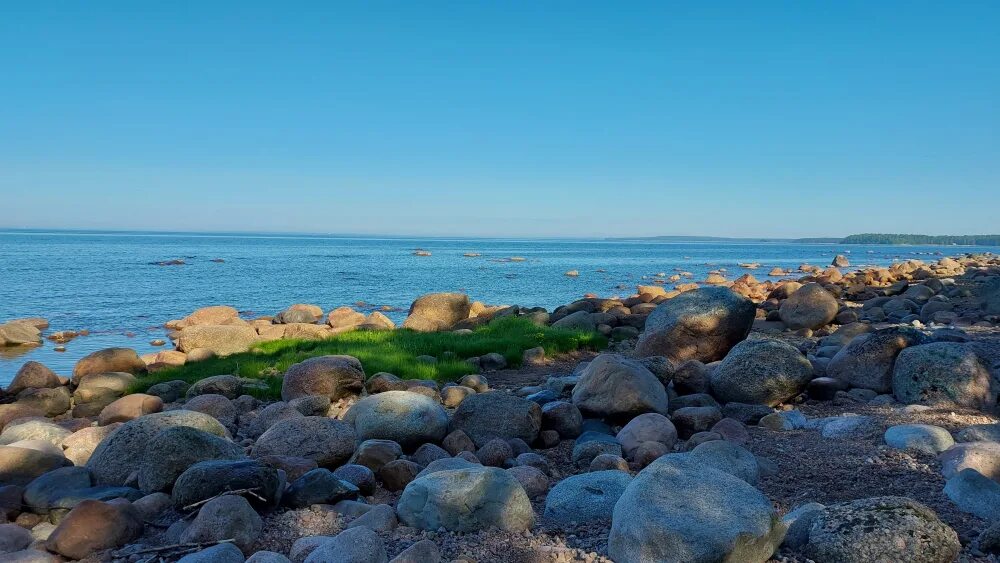 Финский залив соленая вода. Финский залив лнето. Беговая финский залив. Финский залив Olga. Выбье финский залив.