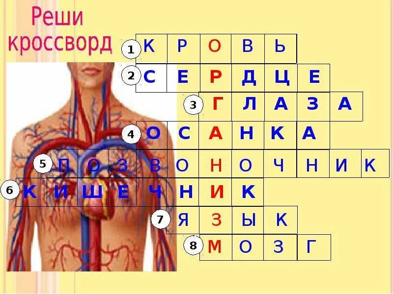 Кроссворд медицинский с ответами. Кроссворд на тему медицина. Кроссворд на тему медицина. Кроссворд на медицинскую тему. Кроссворд по обж первая медицинская помощь.
