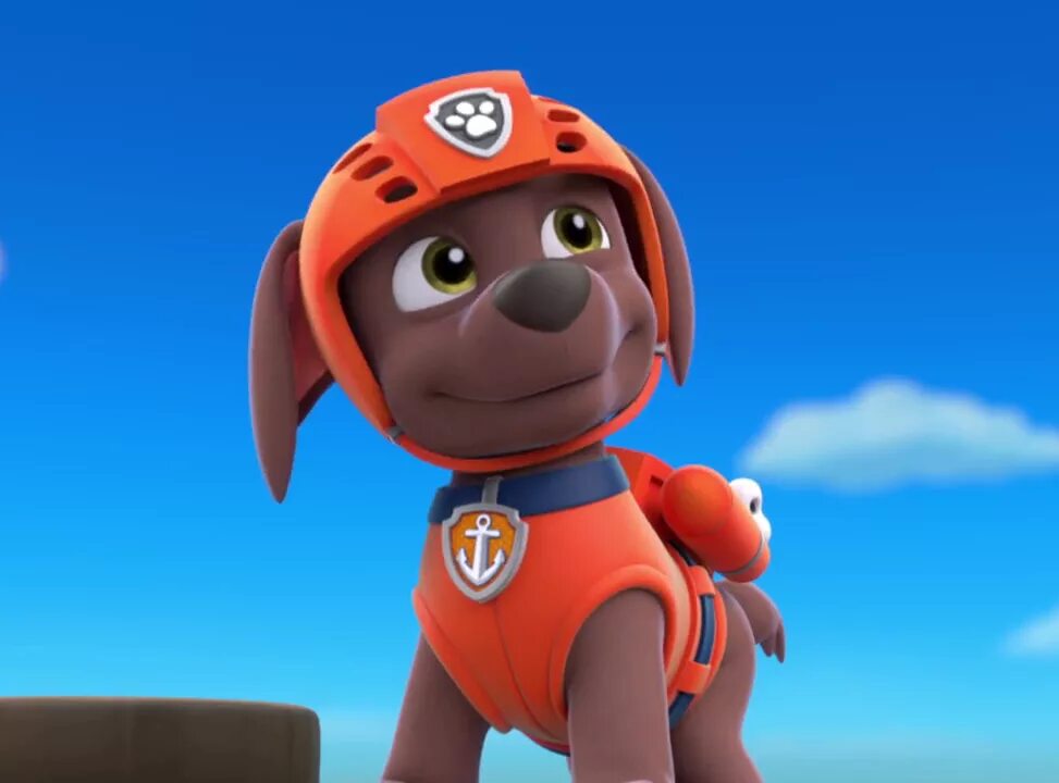 Какого пола зума из щенячьего. Zooma paw patrol. щенячий патруль. зума. paw patrol zuma. щенок зума щенячий патруль.