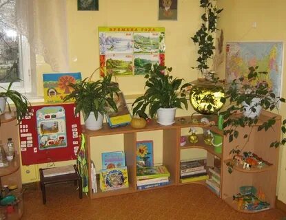 Анализ предметно развивающей среды в кабинете