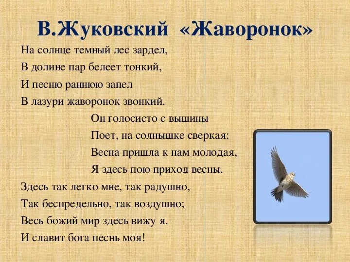 Жуковский Жаворонок стихотворение. Стихотворение жавнрок. Произведение жуковского жаворонок и приход весны