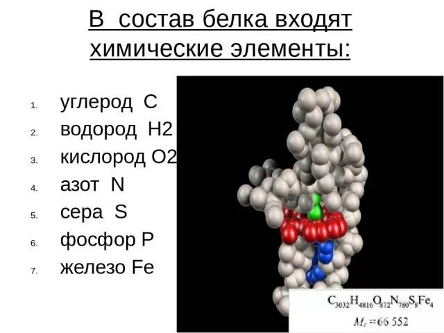 Состоят из углерода водорода кислорода. Что входит в состав белков. Углерод водород кислород. Углерод водород кислород и азот. Углерод кислород азот водород фосфор и сера.