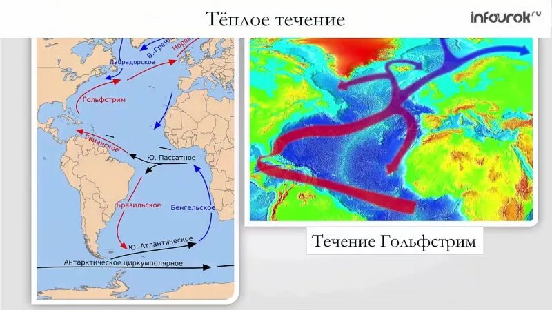 Теплые течения лабрадорское. Гольфстрим и Лабрадорское течение. Течение Гольфстрим в Баренцевом море. Течение Гольфстрим на карте. Гольфстрим на карте Атлантического океана.