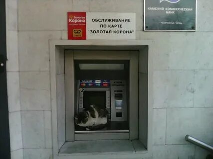 Камский коммерческий банк