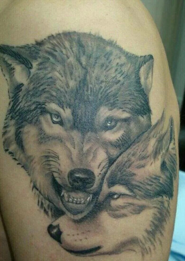 вулф вулф вулф тату. тату два волка. тату два волка. тату 2 волка. волк и волчица.