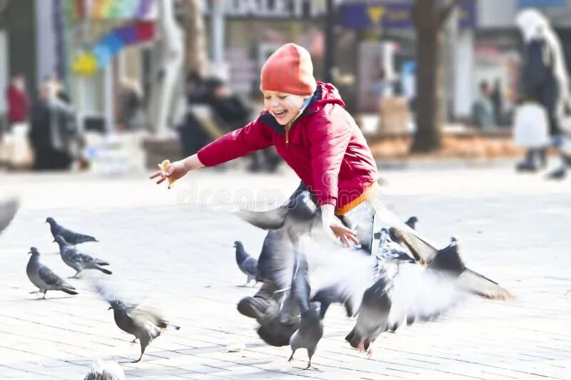 Мальчик гоняет. Дети гоняют голубей. Мальчик гоняет голубей. Дети подбрасывают голубей. Ребенок играет с голубями.