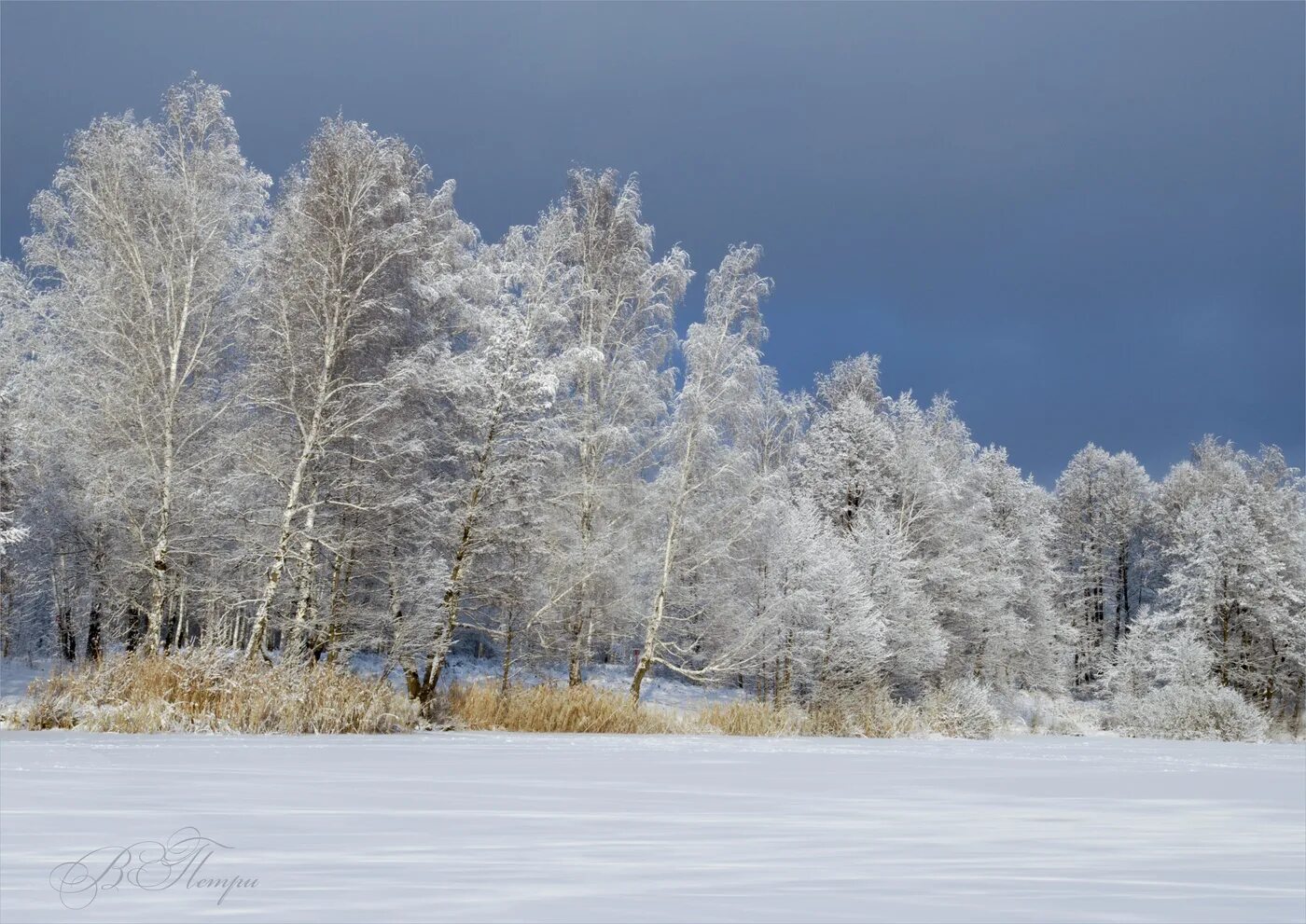 Серебряная зима. Серебро зимы. Фото серебристой зимы. Природа величавая Обь зима серебряная. Зимние оби