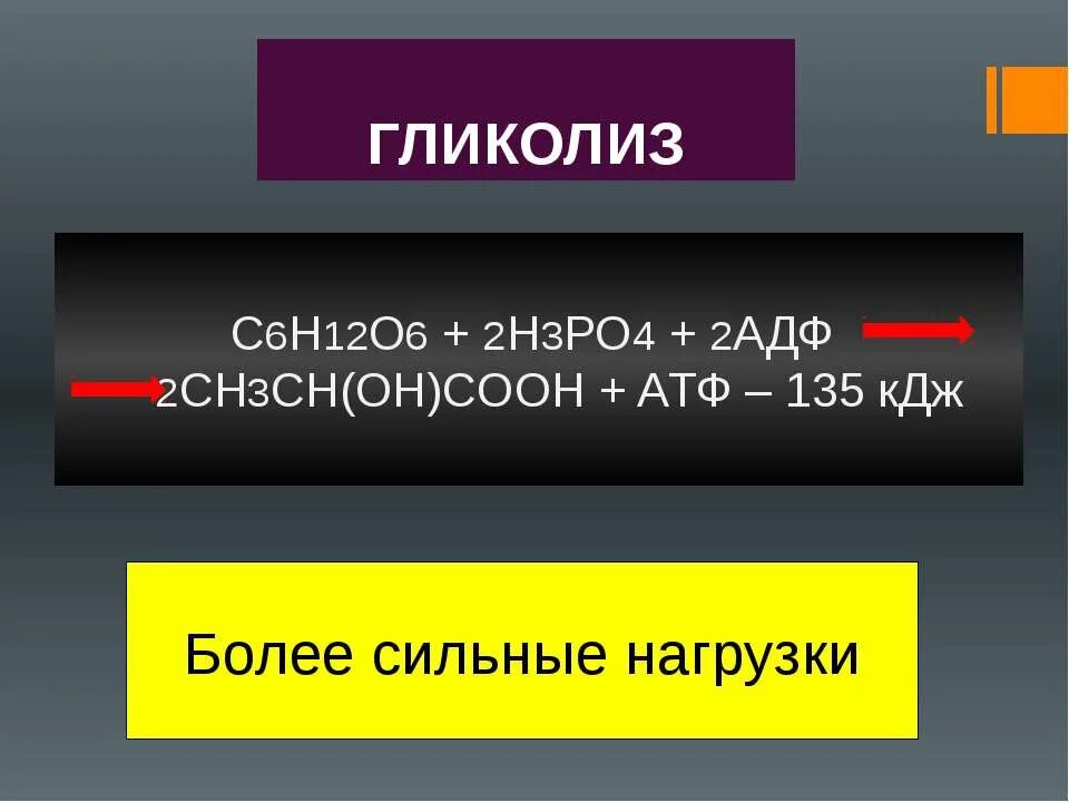 Голод сн. Гликолиз c6h12o6+2h. C6h12o6 АДФ. C6h12o6 + h2. C6h12o2 +2h3po4+2адф.