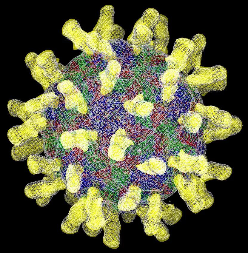 Virus making. Риновирус возбудитель. Вирус риновирус. Вирус ОРЗ под микроскопом. Энтеровирус под микроскопом.