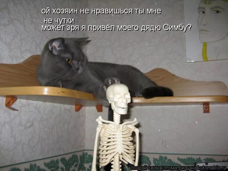 стих про лето трагический как быстро. кот понимает хозяина. картинка сижу не жрамши. мама проснулась. это я сижу и не понимаю.