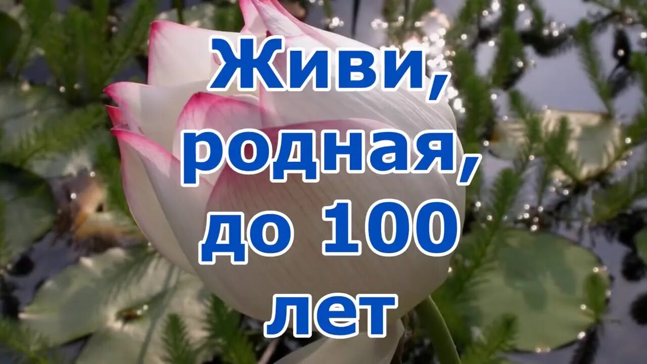 Живи 100 лет. Живи родная до 100 лет. Желаю жить до 100 лет. Дожить до 100 лет.