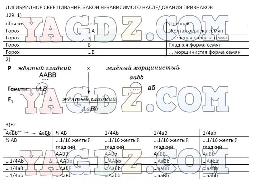 Практическая работа по биологии 9 класс кожа. Решебник биология 9 класс Пасечник. Гдз биология 9 Пасечник. Гдз биология 9 класс Пасечник. Биология 9 класс рабочая тетрадь гдз.