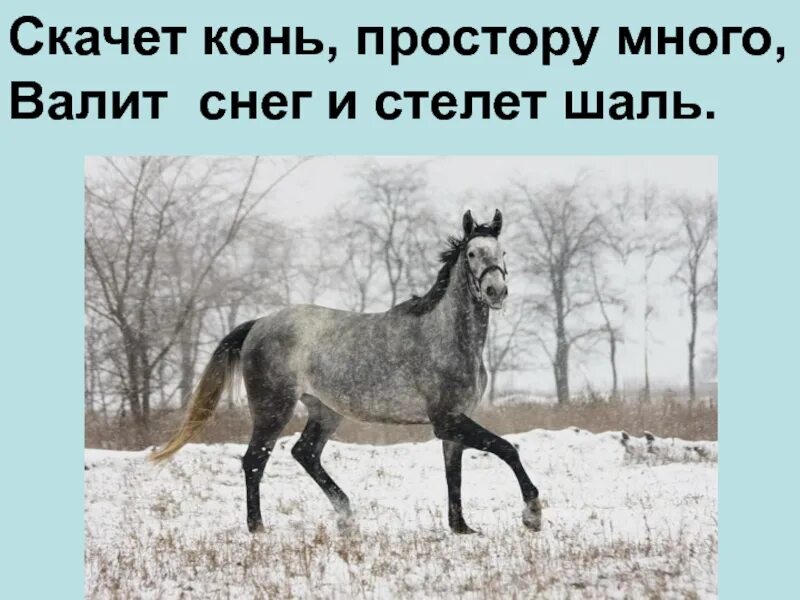 Конь стихи есенина. Стихотворение о животных есенин. Иллюстрация к стихотворению есенина пороша. Есенин стихи проскакал на розовом коне. Будто я весенней гулкой ранью проскакал на.