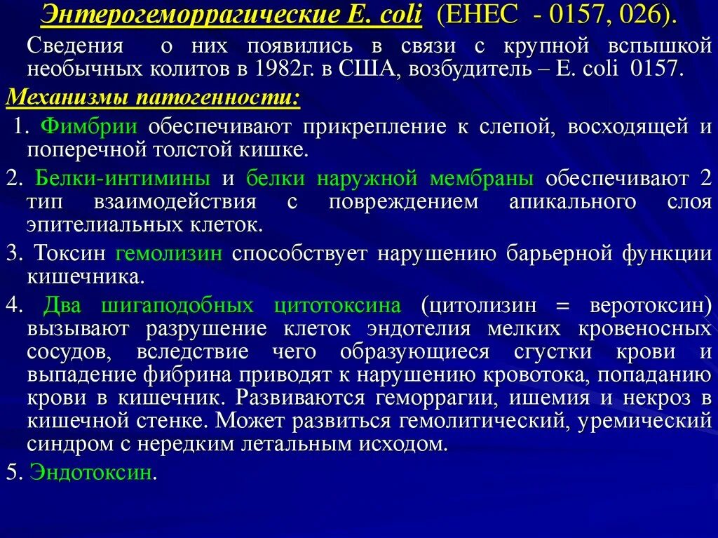 Энтерогеморрагический эшерихиоз. Энтерогеморрагический эшерихиоз. Энтерогеморрагический эшерихиоз. Энтерогеморрагический эшерихиоз. Энтерогеморрагический эшерихиоз.