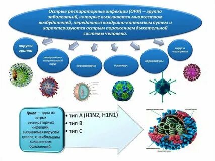 Вирус относится к инфекциям