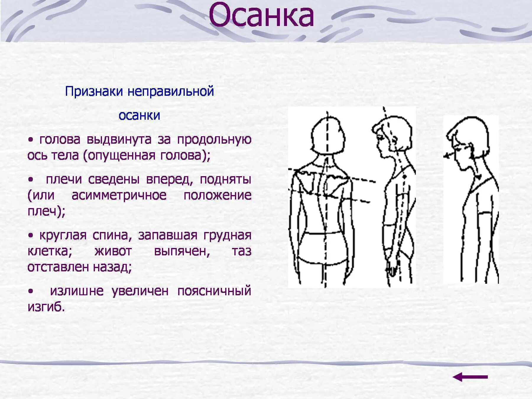 Положение тела при котором плечи
