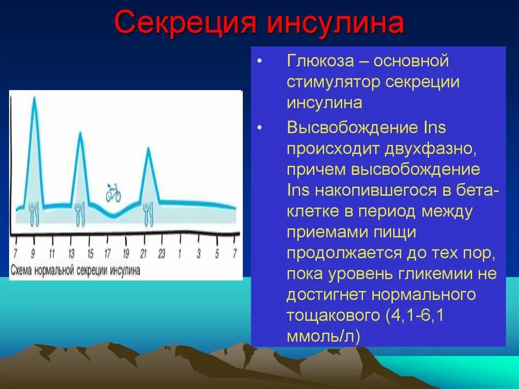 Уровня выработки инсулина. Стимуляторы секреции инсулина. Ритмы секреции инсулина. Основной стимулятор секреции инсулина. Уровень секреции инсулина.