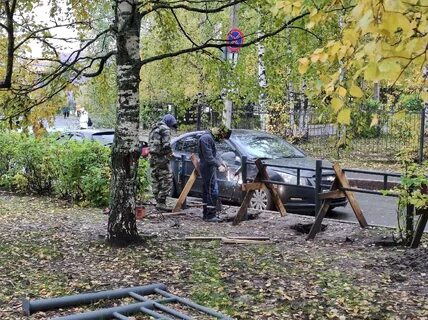 Березовая аллея петрозаводск