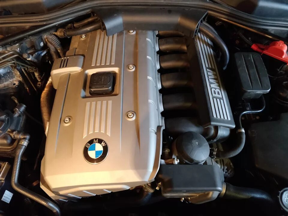 Двигатель е 60. Bmw n52b25 i6. bmw e60 n52b25. мотор бмв n52. двигатель bmw n52b25.