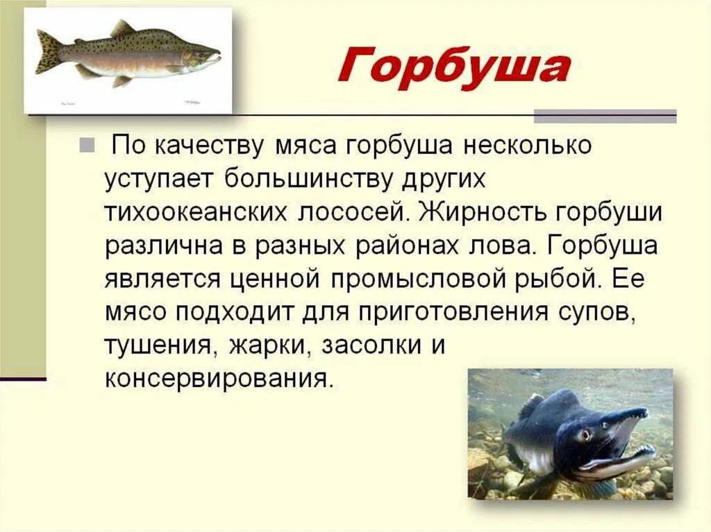 С какой целью рыбу подкисливают