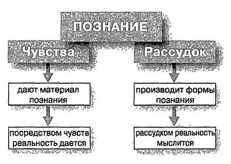 Теория познания конспект урока 10 класс
