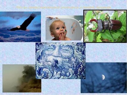 Живая и неживая природа презентация 5 класс