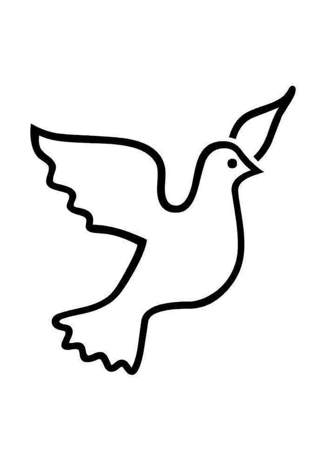 Контур голубей. Контур голубей. Голубь трафарет. Голубь шаблон. Голубь раскраска.