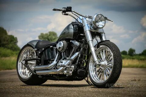 Harley boy