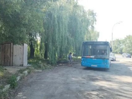 Дачные автобусы 2024 год волгоград