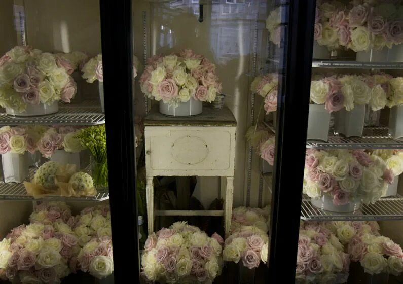 Температура в цветочном холодильнике. Холодильник для цветов. Полки в холодильник для цветов. Полки в цветочный холодильник. Полки для цветочного магазина в холодильник.