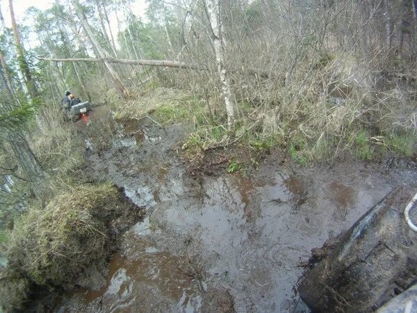 провал в болоте. мем парень в болоте. провал в болоте. канава. школьник в болоте мемы.