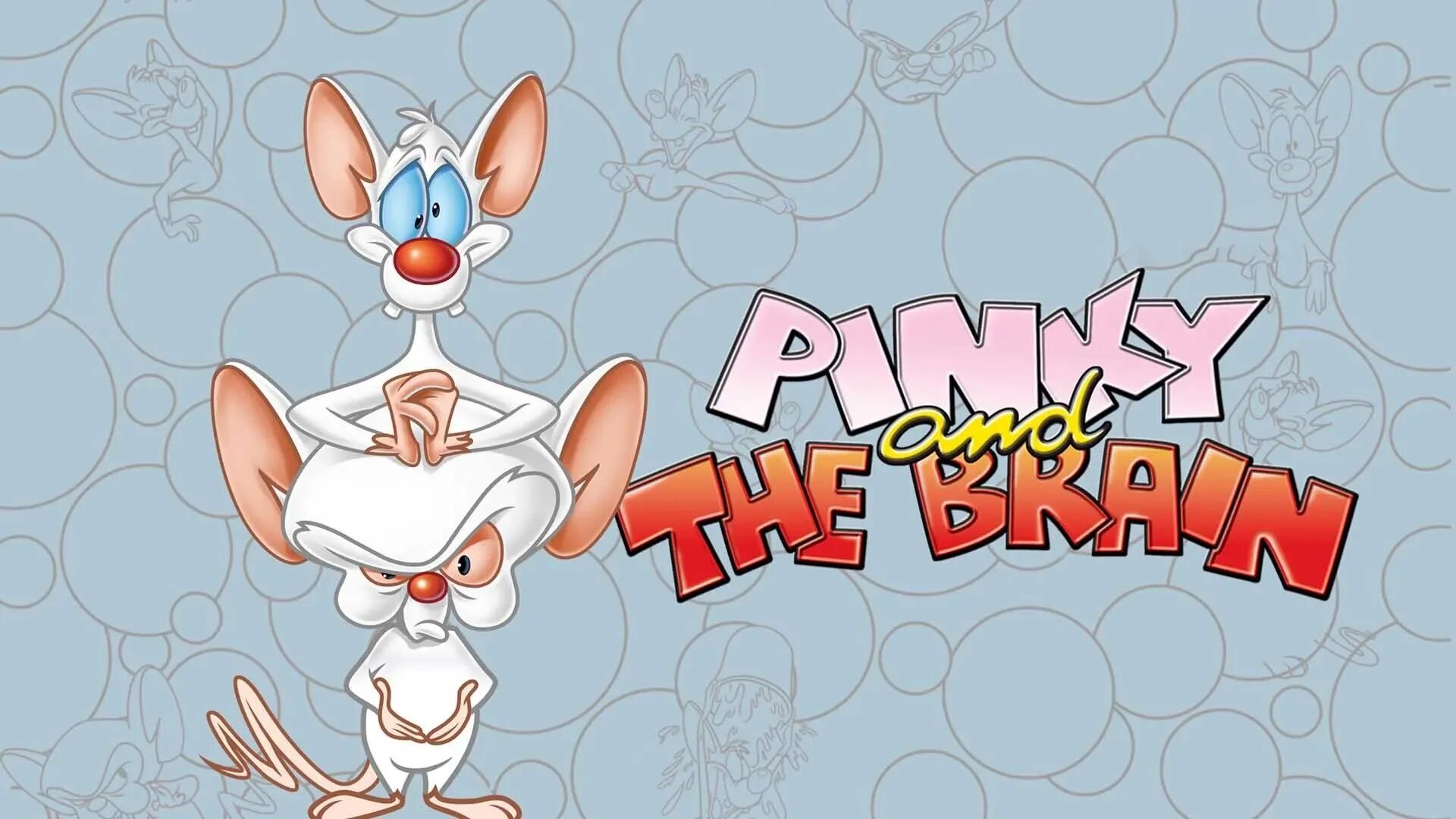 Pinky and brain. Пинки и Брейн. Пинки и Брейн плакат. Пинки и Брейн фото.