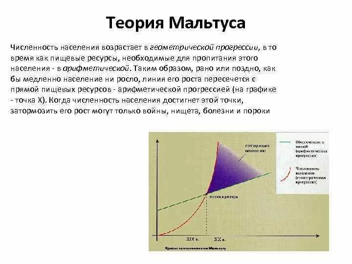 Теория Мальтуса о народонаселении кратко. Закон Мальтуса в экологии. Модель Томаса Мальтуса. Модель роста населения